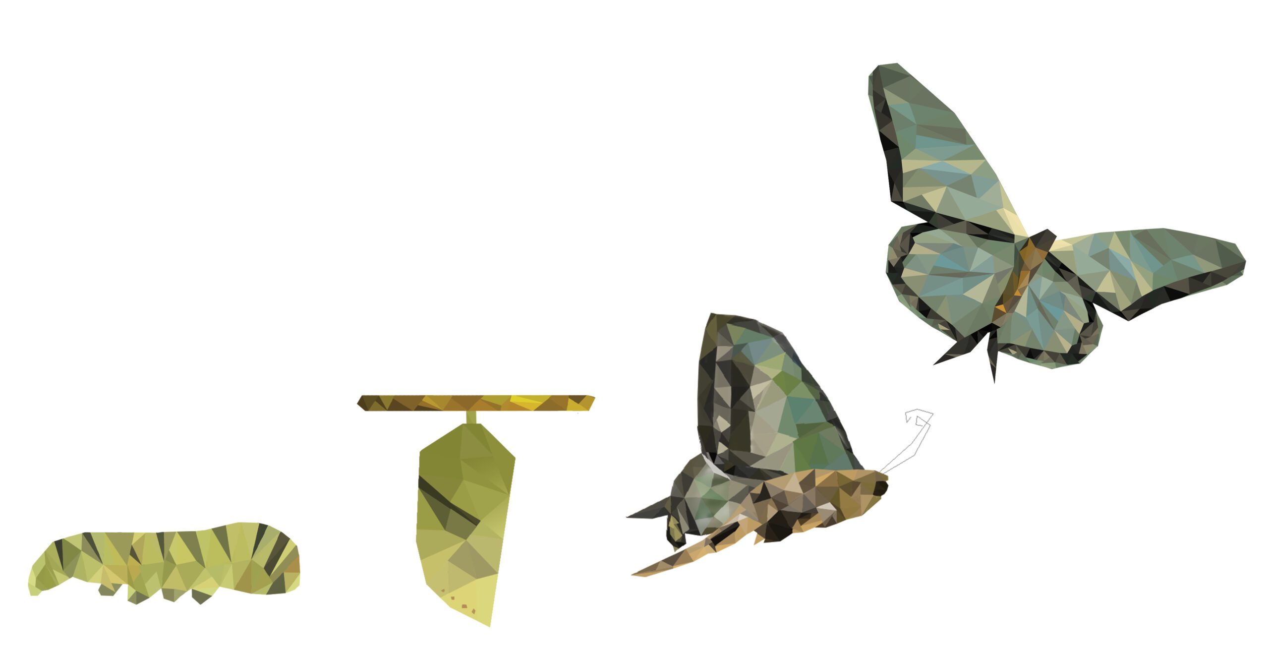 card cap image