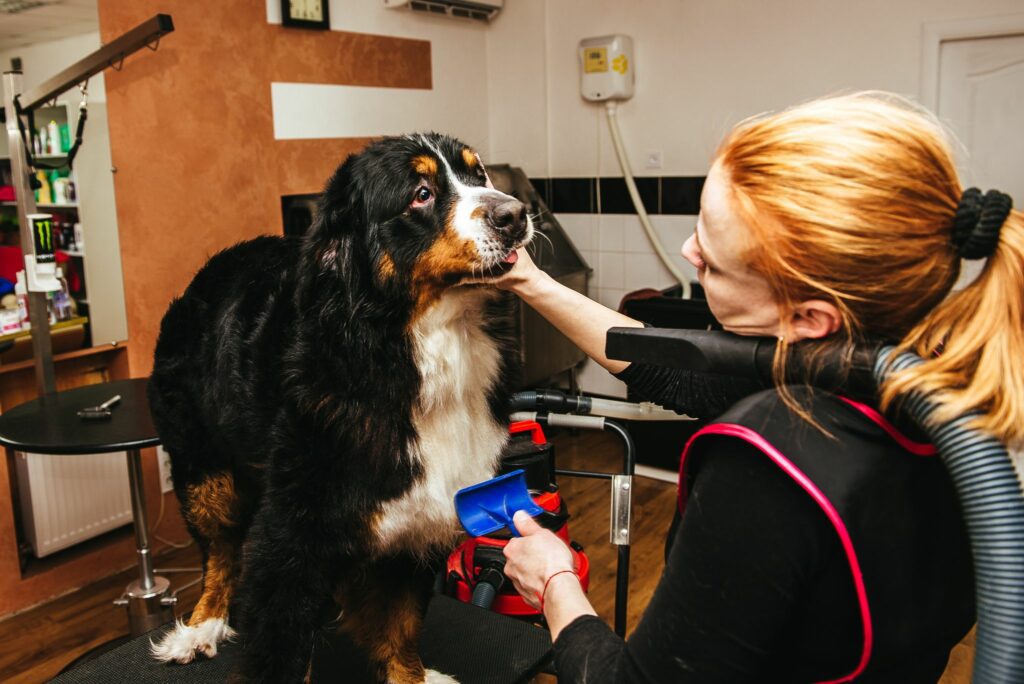 Increased pet grooming at home creates an opportunity for retailers